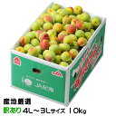 梅 南高梅 産地厳選 風のいたずら ★4L〜3Lサイズ 10kg なんこう うめ 生梅