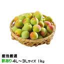 梅 南高梅 産地厳選 風のいたずら ★4L〜3Lサイズ 1kg なんこう うめ 生梅