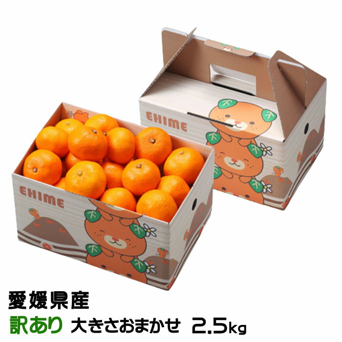 お歳暮 みかん 中島みかん 訳あり 大きさおまかせ 2.5kg みきゃん箱入り 愛媛県産 JAえひめ中央 中島選果場 ミカン 蜜柑 ギフト
