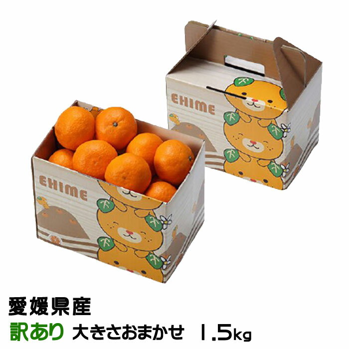  ߤ ߤ  礭ޤ 1.5kg ߤȢ ɲ JAҤ ̾ ߥ ̪ ե