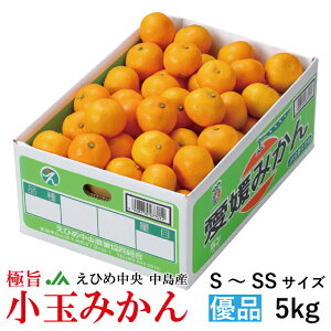 お歳暮 みかん 極旨小玉みかん 優品 S〜SSサイズ 5キロ JAえひめ中央 中島産 ミカン 蜜柑