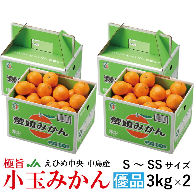 みかん 極旨小玉みかん 3kg×2箱 優品 S〜SSサイズ JAえひめ中央 中島産 ミカン 蜜柑 ギフト お歳暮