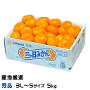 みかん 温州みかん 産地厳選 秀品 3L〜Sサイズ 5kg 蜜柑 ミカン ギフト お取り寄せ
