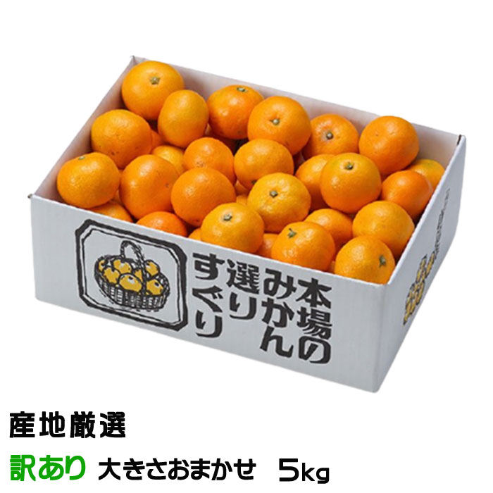 お歳暮 みかん 温州みかん 産地厳選 風のいたずら ちょっと訳あり 大きさおまかせ 5kg 蜜柑 ミカン ギフト お取り寄せ