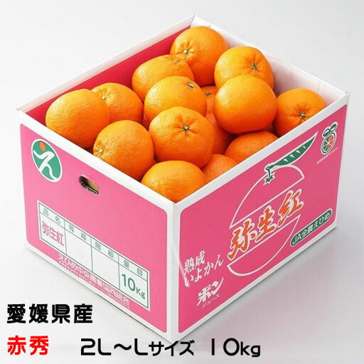 みかん 弥生紅 やよいべに 赤秀 2L〜Lサイズ 10kg 熟成本貯蔵 宮内伊予柑 JAえひめ中央 中島産 みかん 弥生紅 やよいべに 赤秀 2L〜Lサイズ 10kg 熟成本貯蔵 宮内伊予柑 JAえひめ中央 中島産