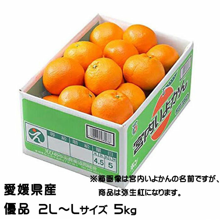 みかん 弥生紅 やよいべに 優品 2L〜Lサイズ 5kg 熟成本貯蔵 宮内伊予柑 JAえひめ中央 中島産