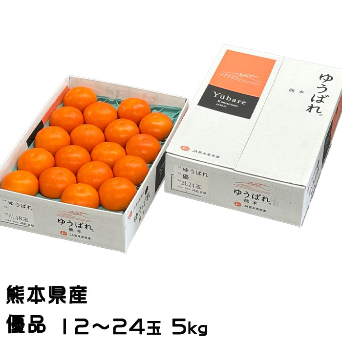 みかん ゆうばれ 優品 5kg 12〜24玉 熊本県産 蜜柑 ミカン ギフト