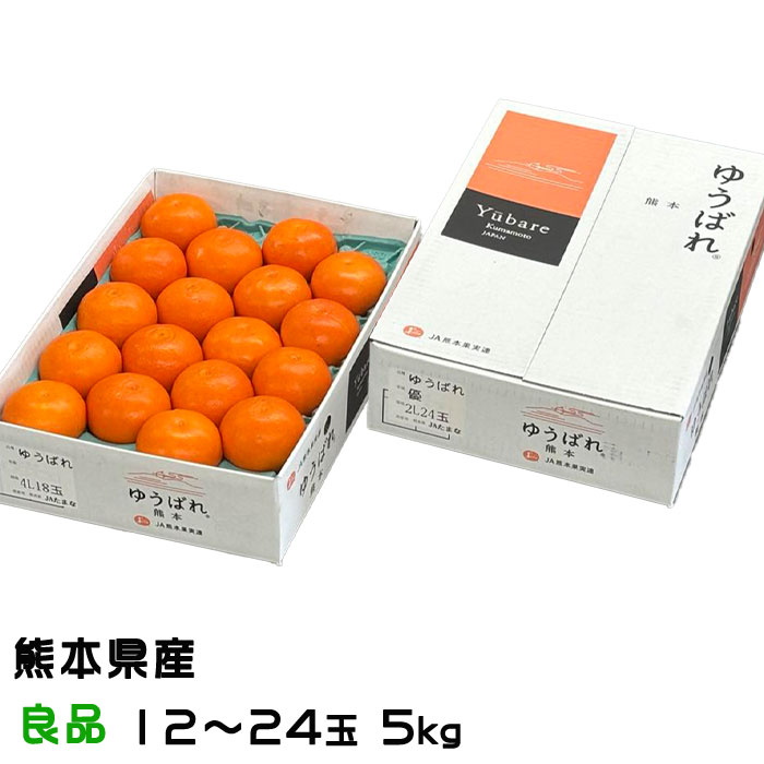 みかん ゆうばれ 良品 5kg 12〜24玉 熊本県産 蜜柑 ミカン ギフト