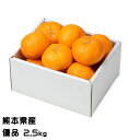みかん ゆうばれ 優品 2.5kg 熊本県産 蜜柑 ミカン ギフト