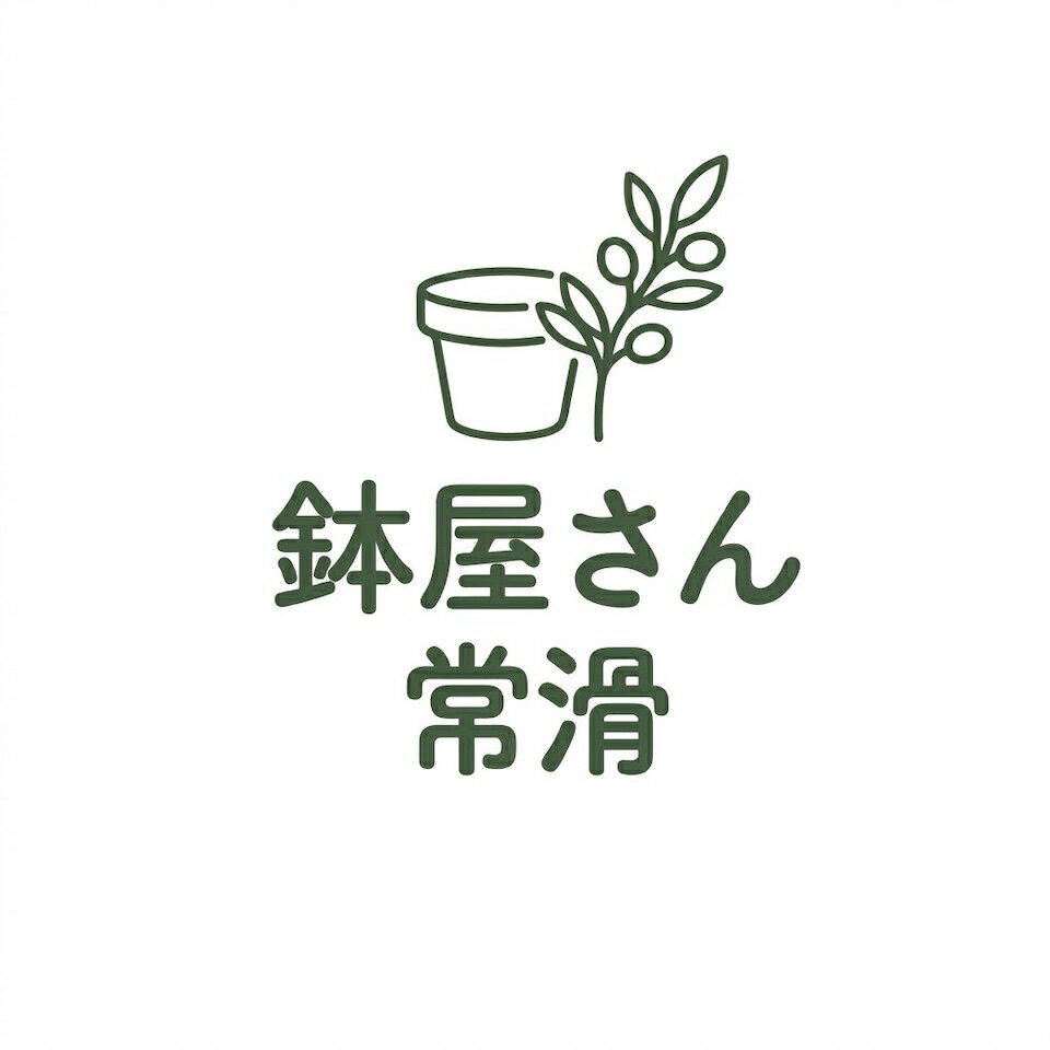 Shop icon