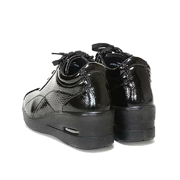 ����ա��ȥ��塼�� ��ǥ����� �����䤹�� �⤭�䤹�� ���ˤ��� New PePe �˥塼�ڥ� 1004 �֥�å� ���ʥ��Ĵ 3E ���� �����ɥե����ʡ� ���������å���� �����å������� ��Ĺ ���Ӹ��� ����� �ץ쥼���