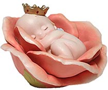 今週のランキングNo.1当店イチオシ商品！⇒ロイヤルキューピー「ロイヤルローズ」◆ポイント5倍...