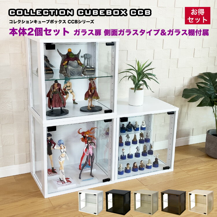 コレクション キューブボックス ガラス扉 側面ガラス タイプ 2個セット CCB コレクションケース