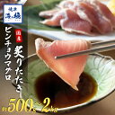 焼津 海の極 絶品 天然 まぐろ 炭火焼き 炙り たたき 500g〜2kg 静岡県焼津市製造 海伸 本場の海鮮グルメ ビンチョウ たたき お刺身 新鮮 冷凍 贈...