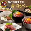贅沢 6種 マグロ 食べ比べセット 刺身 海鮮丼 寿司 漬け丼 海伸 本場の海鮮グルメ 新鮮 小分け 冷凍 家庭用 贈り物 ギフト お中元 お歳暮 誕生日 焼津...