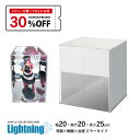 コレクションケース アクリルケース Lightning 幅20cm 奥行20cm 高さ25cm 台座ミラー×背面ミラー×側面ミラー フィギュアケース フィギュア ケース ラック ディスプレイケース 地球家具 組立式 簡単 防汚れ アクリル ケース 透明 クリア 保護フィルム付 手袋 クロス付