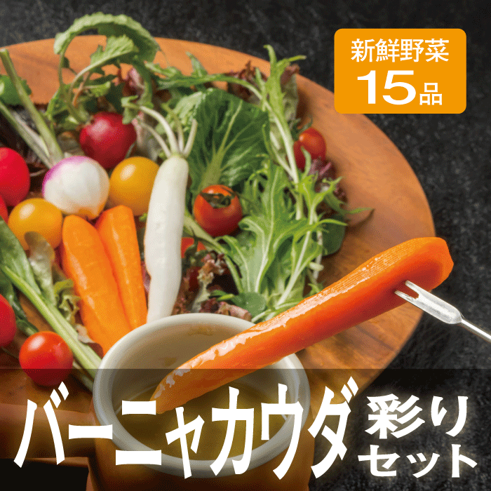 彩りバーニャカウダセット〜新鮮おまかせ野菜15品〜鮮やか 新鮮 映える 旬 カラフル 詰め合わせ 野菜セット