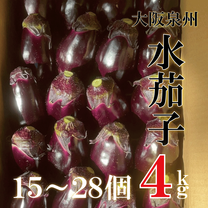 大阪泉州産水茄子　約4kg（15～28個入り）　不揃いですがお買い得品です！【刺身　水茄子　水なす　水ナス　泉州水茄子　泉州　大阪　家庭用　絶品　】 2