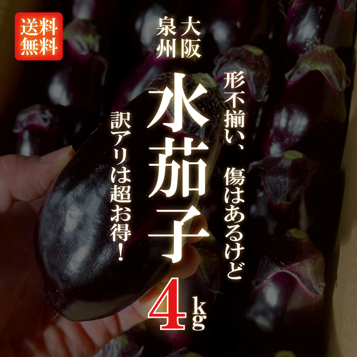 大阪泉州産水茄子　約4kg（15～28個入り）　不揃いですがお買い得品です！【刺身　水茄子　水なす　水ナス　泉州水茄…