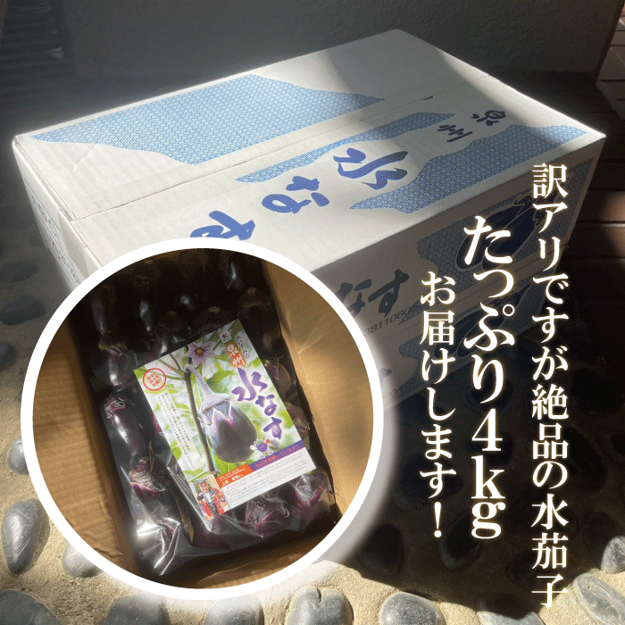 大阪泉州産水茄子　約4kg（15～28個入り）　不揃いですがお買い得品です！【刺身　水茄子　水なす　水ナス　泉州水茄子　泉州　大阪　家庭用　絶品　】 3