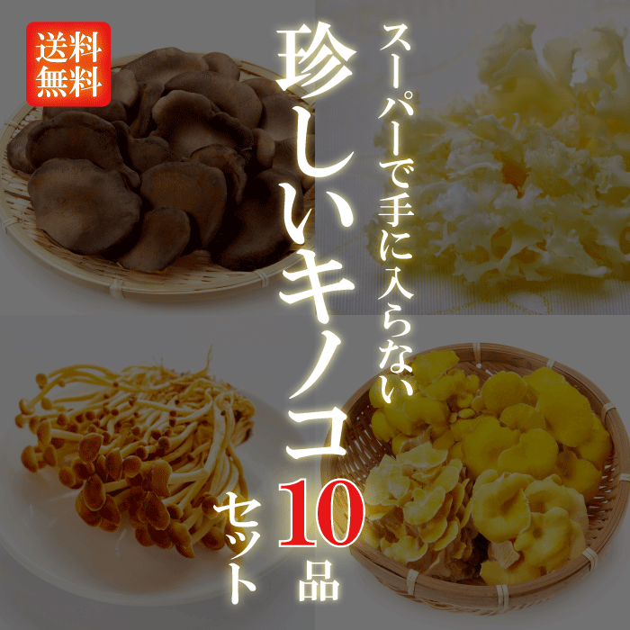 きくらげ ぷりぷりコリコリ！九州産 タマチャンの無農薬乾燥キクラゲ 送料無料南九州タマチャン農園のハウス内で霧島の天然水を地下150mから汲み上げ散水して作った美味しいきくらげ| 業務用 木耳 乾燥 栽培 佃煮 乾燥 キクラゲ きのこ 国産 健康食品 ビタミンD