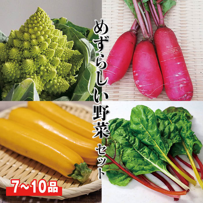 【目利きのプロが厳選した】珍しい野菜セット【7品or10品以上確約】 単品商品同梱可能 野菜セット 詰め合わせ 旬 新鮮 安心 安全