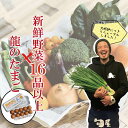 新鮮野菜16品以上&龍のたまご【苦手な野菜は入れません 16種以上確約 おまかせ 単品同梱可能 野菜セット 詰め合わせ 常備野菜 ブランド鶏卵 卵 たまご 旬野...