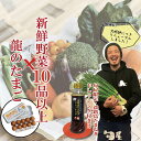 【旬屋限定・淡路島たまねぎドレッシング付き!】新鮮野菜10品以上&龍のたまご【苦手な野菜は入れません 10種以上確約 おまかせ 単品同梱可能 野菜セット 詰め合...