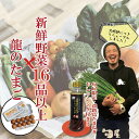 【旬屋限定・淡路島たまねぎドレッシング付き!】新鮮野菜16品以上&龍のたまご【苦手な野菜は入れません 16種以上確約 おまかせ 単品同梱可能 野菜セット 詰め合...
