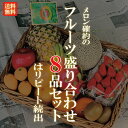 フルーツ盛り合わせ 厳選フルーツ盛り合わせ 8品【メロン　確約】果物　フルーツセット 果物セット 送料無料 旬 お取り寄せ スムージーにも 母の日 父の日 お彼岸 手土産