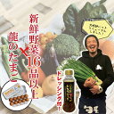 【淡路島たまねぎドレッシング付き】新鮮野菜16品以上＆龍のた