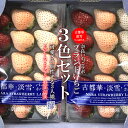 【楽天1位受賞!】【送料無料】ブランド 3色いちご(古都華・淡雪・パールホワイト)1ケース(約270g×2パック入)(M〜3Lサイズ)【イチゴ 苺 奈良いちごラ...