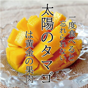 【母の日ギフト】【送料無料】宮崎県最高峰　ブランドマンゴー　太陽のたまご　化粧箱入り　大玉2Lサイズ(3玉入り)or特大玉3Lサイズ(2玉入り)　贈答　プレゼント　記念日　お祝い お中元 ギフト