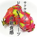 ドラゴンフルーツ 1個(約300g)【珍しい インスタ映え】