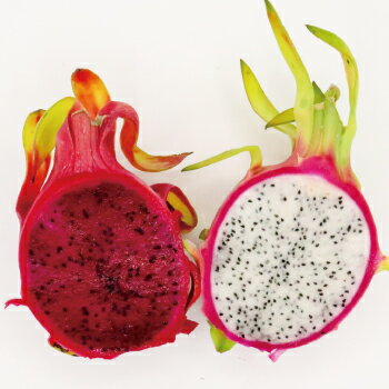 �ɥ饴��ե롼�ġ�1�ġ���300g�ˡ������� ���󥹥��Ǥ���