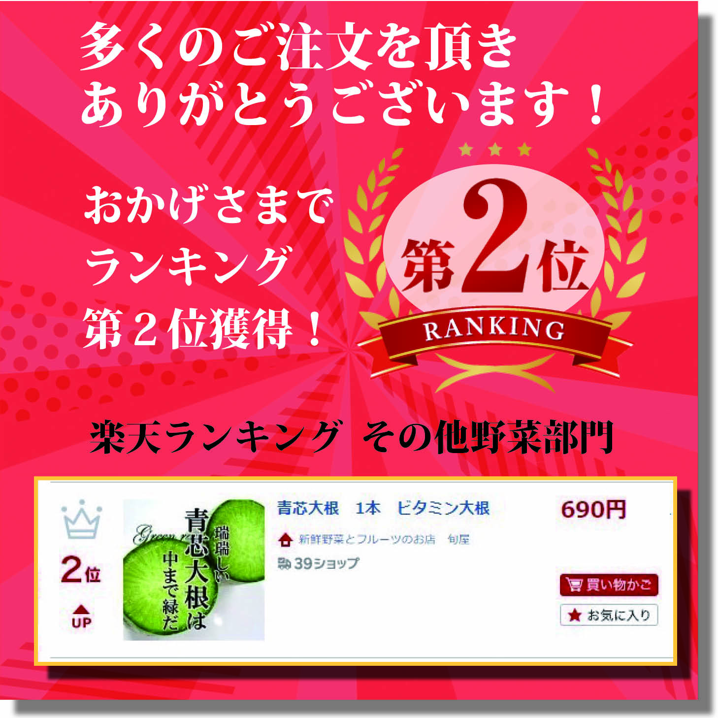 新鮮野菜とフルーツのお店 旬屋の【楽天2位受賞！】青芯大根　1本　ビタミン大根 　サラダ 　インスタ映え【お取り寄せ 単品 野菜 カラフル　新鮮 　おしゃれ】｜アングル2