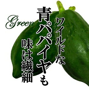 青パパイヤ　約1kg(1個～3個)　【パパイア タイ料理 サラダ】