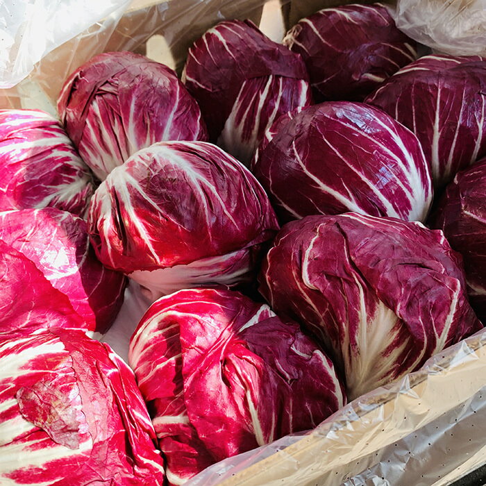 �ȥ�ӥ� 1�� ���֥����� ����ե� ���󥹥��Ǥ� �������