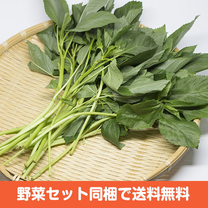 モロヘイヤ 1束【お取り寄せ 単品野菜 国産 日本産 国内産 新鮮 ヘルシー 健康 スムージー 緑黄色野菜 ねばねば ネバネバ 栄養たっぷり 青菜 めずらしい 珍しい野菜】 haconnect-10000059 新鮮野菜とフルーツのお店 旬屋 サンプル画像2