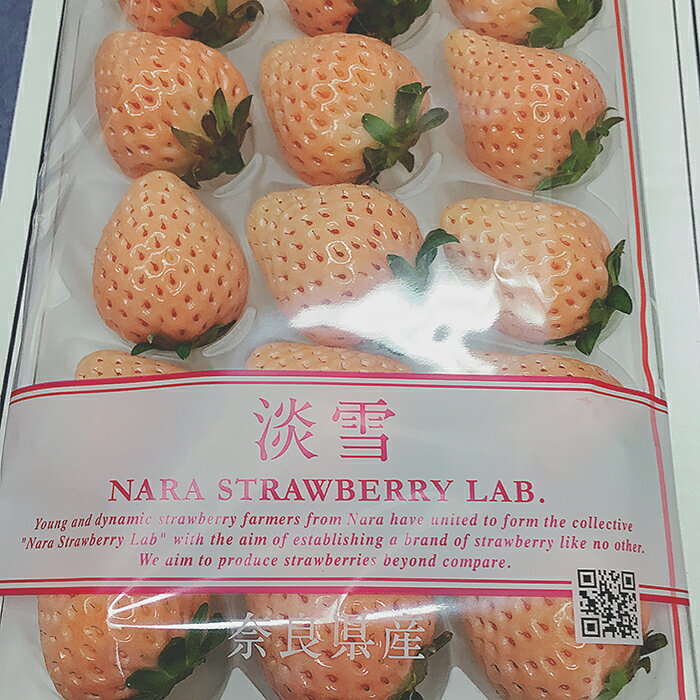 �ڲ���Ȣ���ۡ�����̵���ۥ֥��ɤ�������ø�㡡1��������M��2L������ (2�ѥå�)�� ���ϸ������ڥ����� �� ���ɤ�������� ���ڻ� £��ʪ £���� ��˫�� ���ۤ��� �ץ쥼��� ���ڻ� �ե롼�� ��ʪ �򤤤����ۢ��ѥå������Υǥ�����ϼ̿��Ȥϰۤʤ��礬�������ޤ�