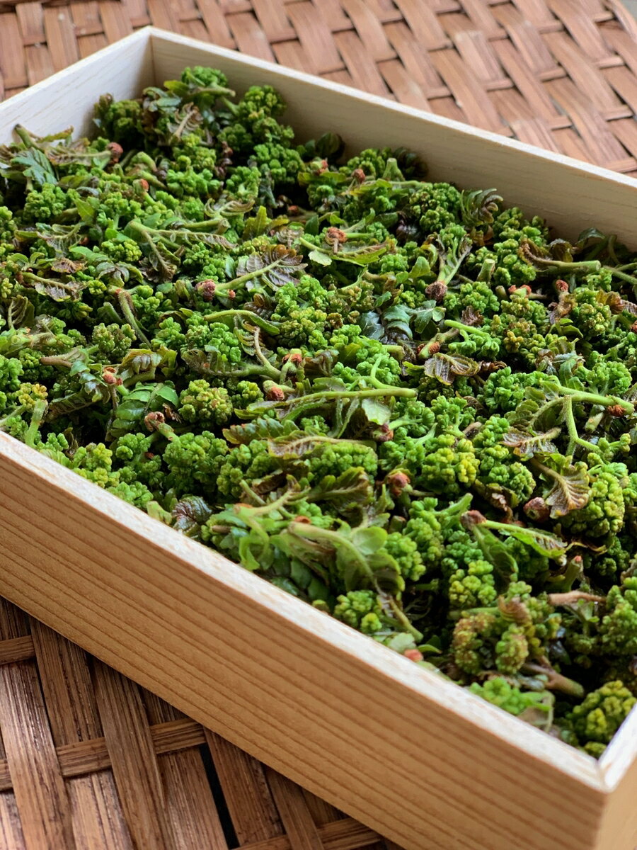 【入荷終了間近】【その日入荷なき次第キャンセルとなります】花山椒100g　【こちら価格お安いですが風味が少し弱くランクが落ちる商材です。上モノは当ショップの最高品質商材をご参照ください。】【花ザンショ 山椒 単品 野菜 国内産 日本産 国産 新鮮　佃煮　高級　食材】