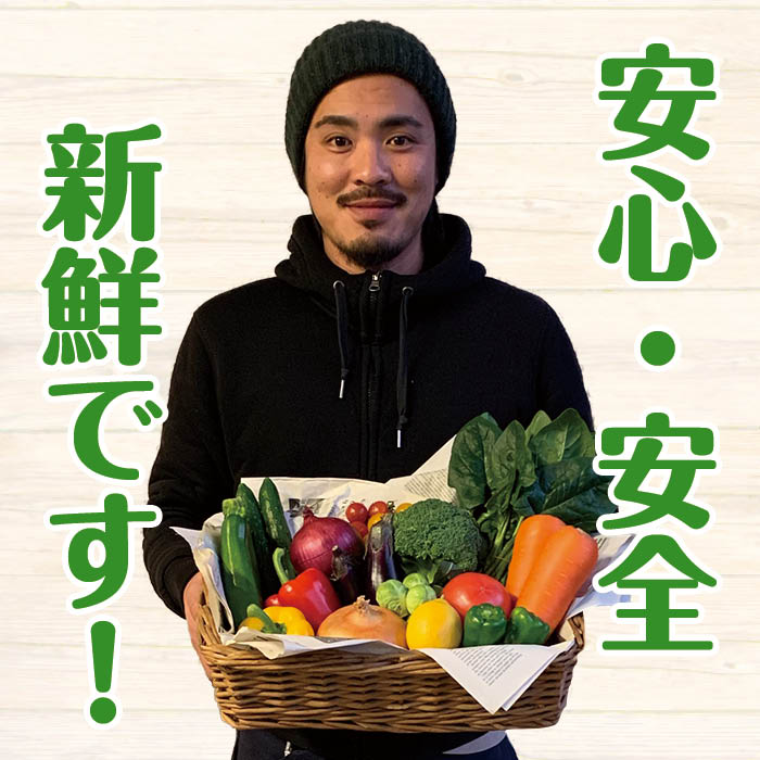 芽キャベツ200g約10個【芽きゃべつスポロお取り寄せ野菜美味しいめずらしい野菜珍しいかわいいおしゃれ】