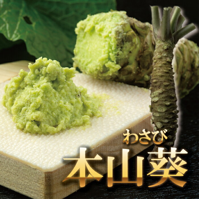 【楽天3位受賞！】本山葵／本わさび　1本（約100〜200g）【ワサビ　生わさび　刺身...