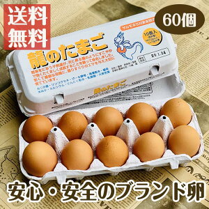 国産ブランド鶏卵 「龍のたまご」 60個 大分県産 (10個入り×6パック )【送料無料 赤玉 赤卵 濃厚 こだわり おいしい 卵 高級 プレゼント ギフト 贈り物 贈答品 お中元 お歳暮 御歳暮 お中元 御中元】