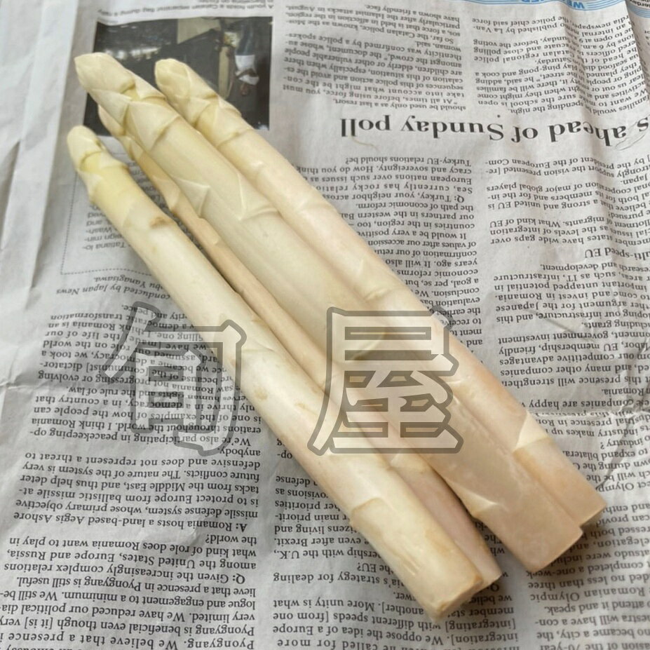新鮮野菜とフルーツのお店 旬屋の【2月から入荷してます】ホワイトアスパラガス 1束 （3〜6本入 約120g） 【国産 白アスパラガス お取り寄せ 単品野菜 美味しい おいしい 甘い やわらかい ジューシー フレンチ イタリアン】｜アングル2