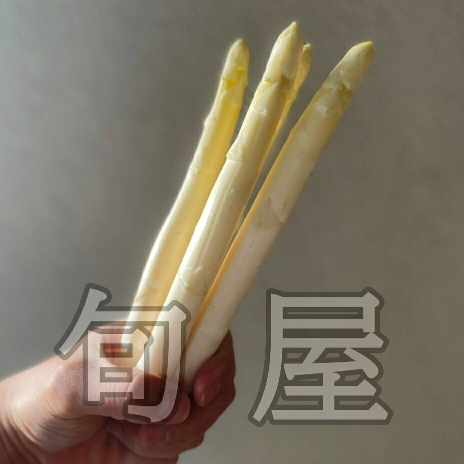 新鮮野菜とフルーツのお店 旬屋の【2月から入荷してます】ホワイトアスパラガス 1束 （3〜6本入 約120g） 【国産 白アスパラガス お取り寄せ 単品野菜 美味しい おいしい 甘い やわらかい ジューシー フレンチ イタリアン】｜アングル3