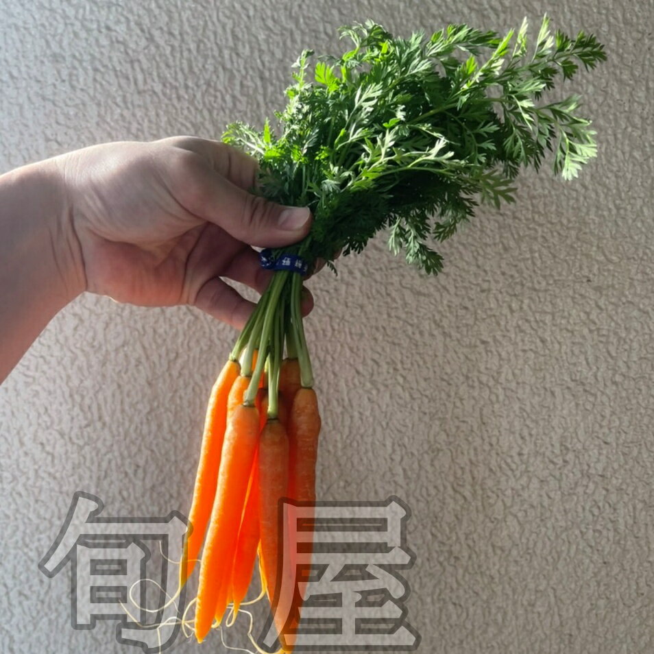 ���դ��ˤ󤸤� 1�ѥå���5��10�� ���դ��ͻ� �˥󥸥� ������ ñ�� ��� ���� ���󥹥��Ǥ� ������졡���ۡ���ã��