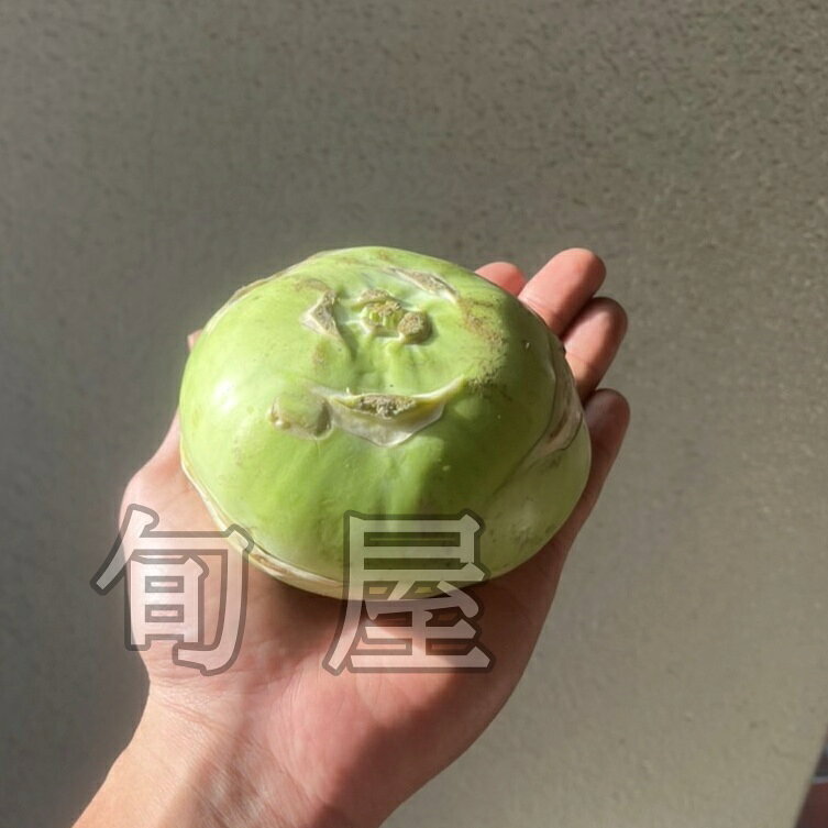コールラビ　1個　【野菜　珍しい野菜　イタリア野菜　旬の野菜　ヴィーガン　新鮮野菜　珍しい野菜　野菜　やさい　珍しい　変わった野菜　おいしい　インスタ映え　綺麗　彩　あしらい　飾り　アクセント　料理】】 haconnect-10000282 新鮮野菜とフルーツのお店 旬屋 サンプル画像2