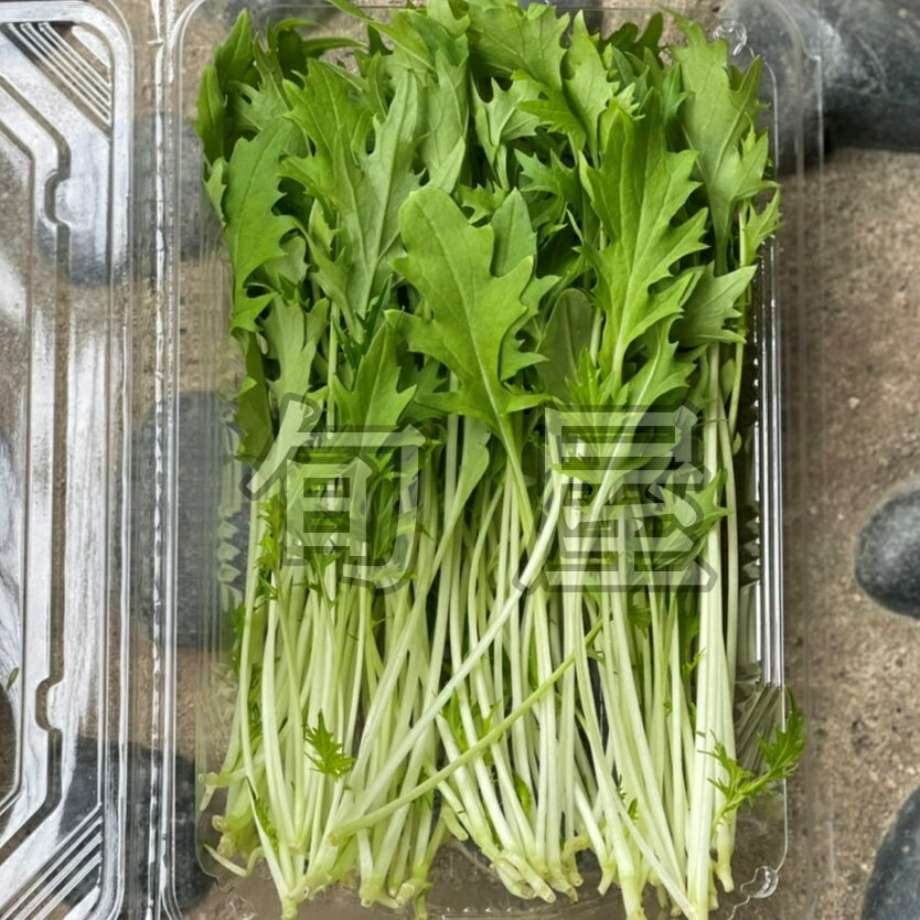 サラダ水菜　1PAC　約20g　【久保田農園　福岡産　珍しい野菜　ハーブ　野菜　】