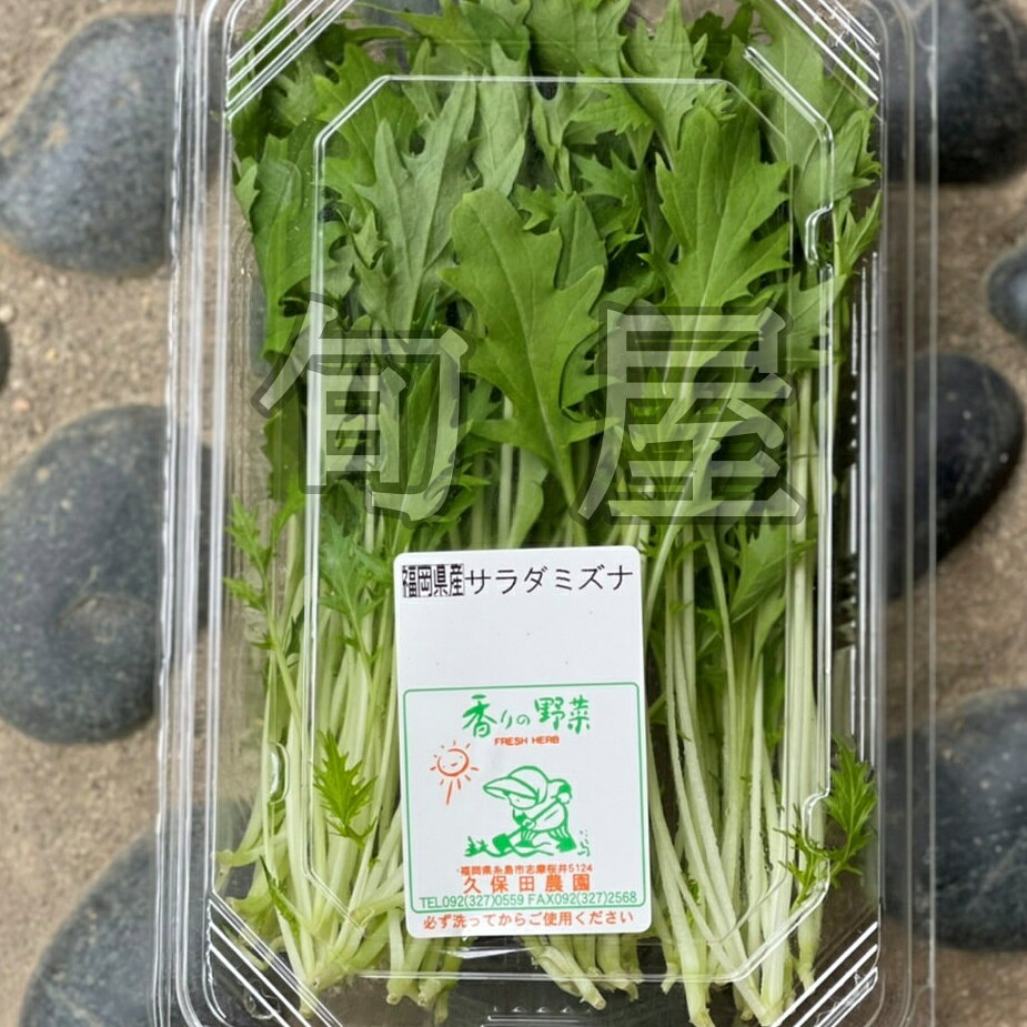 新鮮野菜とフルーツのお店 旬屋のサラダ水菜　1PAC　約20g　【久保田農園　福岡産　珍しい野菜　ハーブ　野菜　】｜アングル3